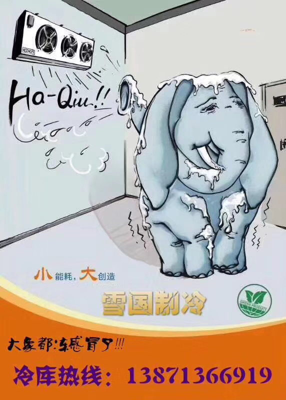 雪國制冷，武漢冷庫，武漢制冷，武漢冷庫公司，小型冷庫，冷庫設計